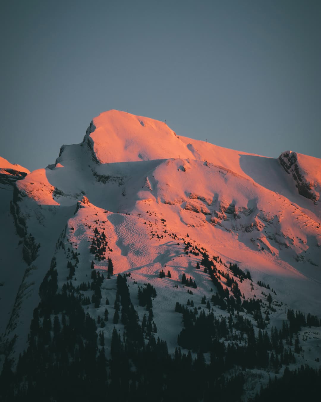 Alpi Apartments Photo 1