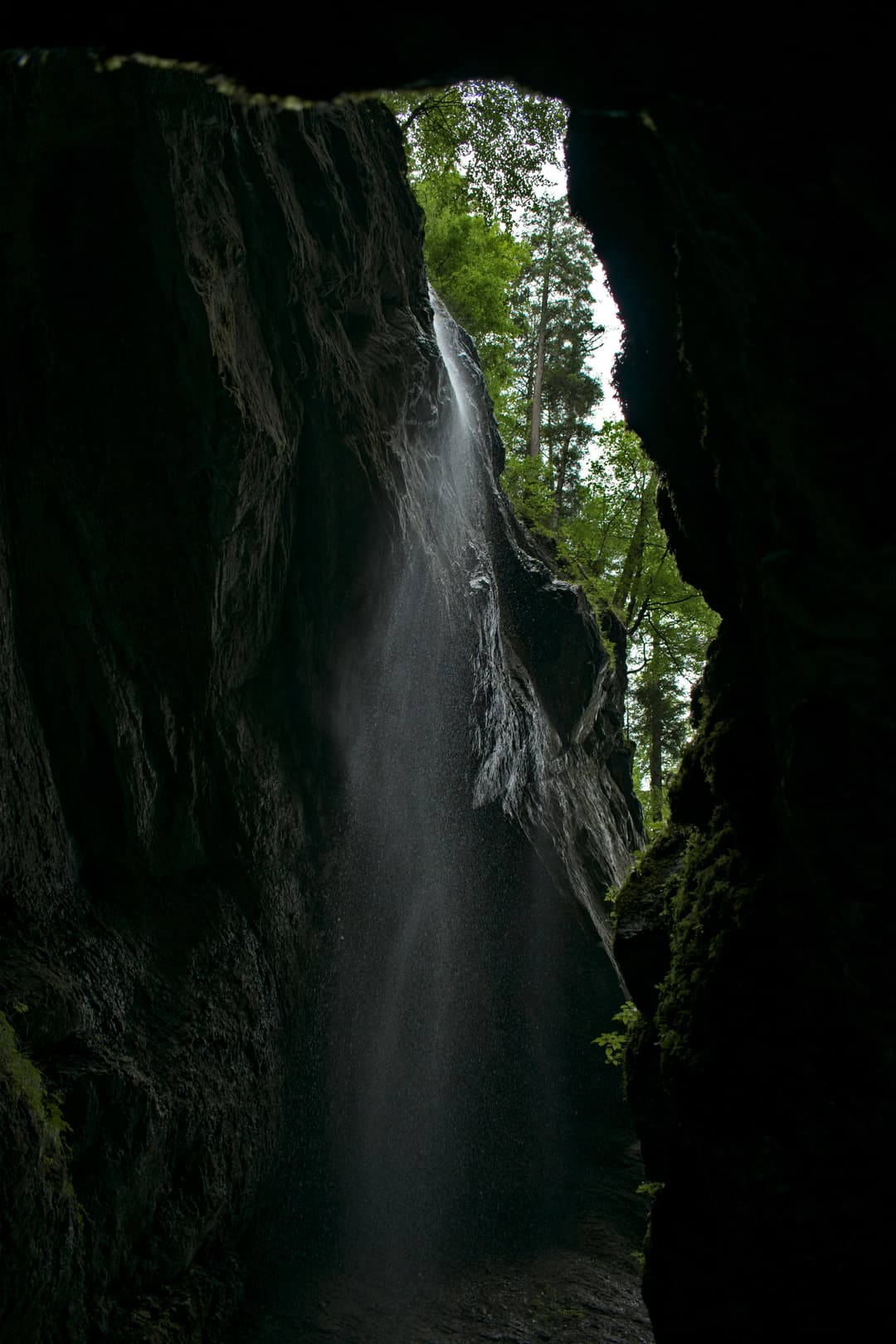 Alpi Apartments Photo 11