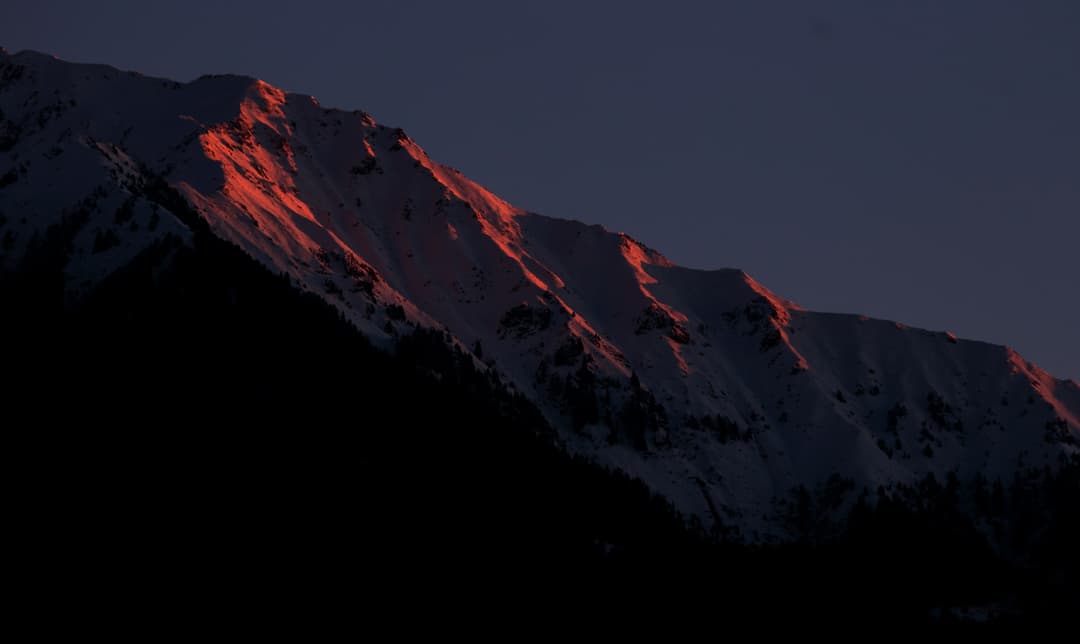 Alpi Apartments Photo 3