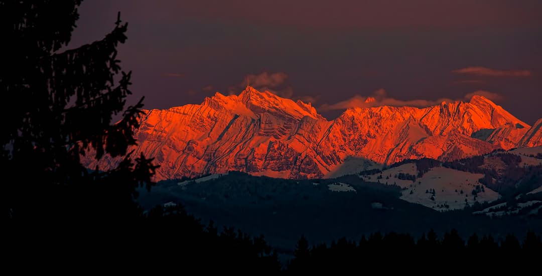 Alpi Apartments Photo 5