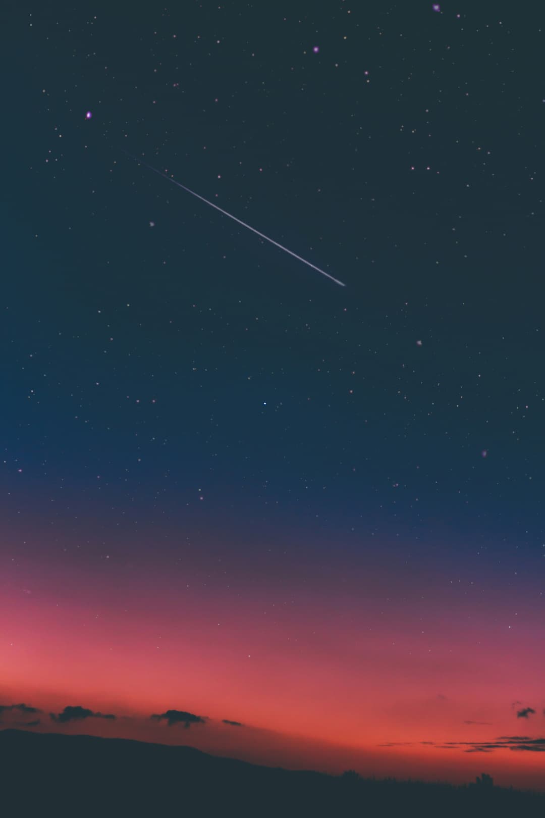 Alpi Apartments Photo 14