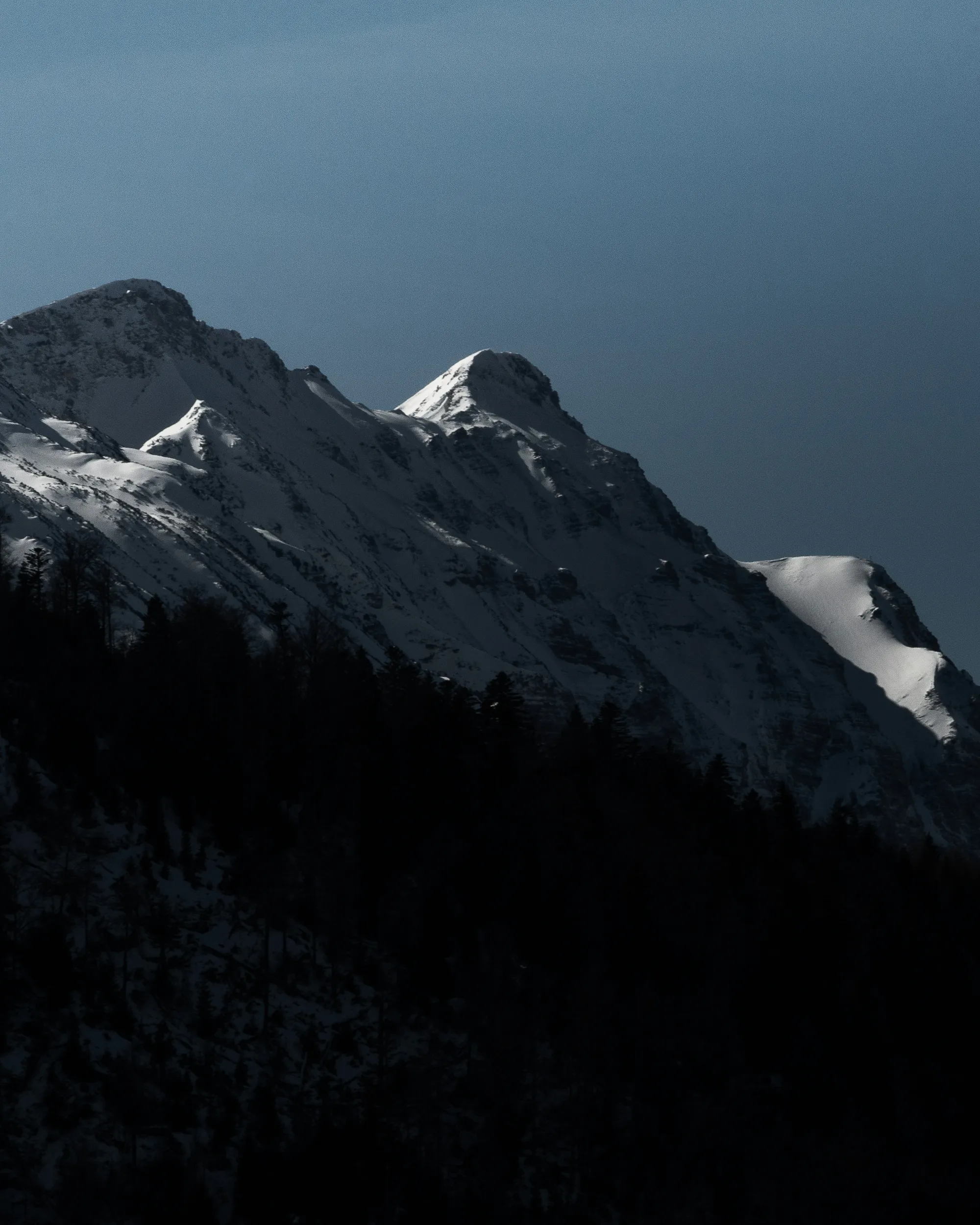 Alpi Apartments Photo 8